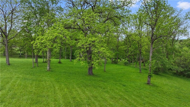 884 Linden Rd, North Strabane, PA 15330 - view of grassy yard