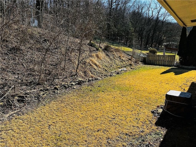 view of yard with fence