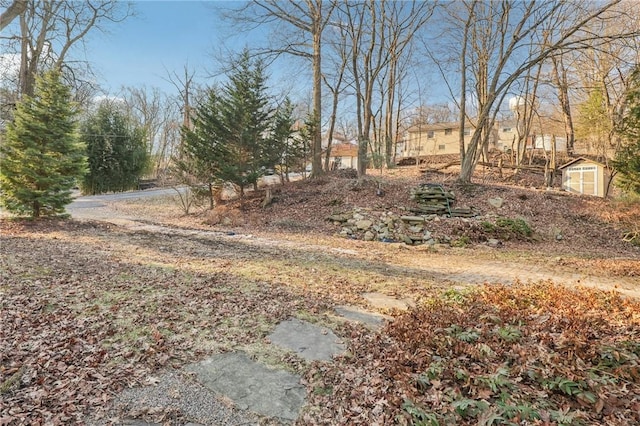 view of yard with a shed and an outdoor structure