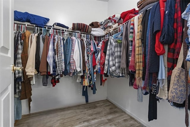 walk in closet with wood finished floors