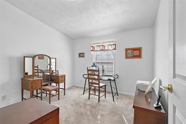 office space featuring light colored carpet, baseboards, and a textured ceiling