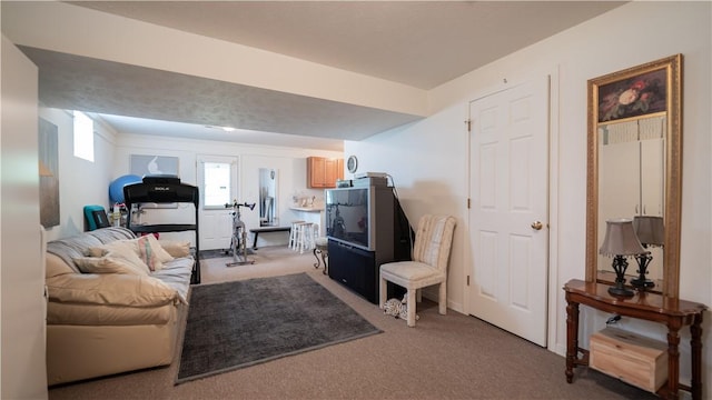 living room with light carpet