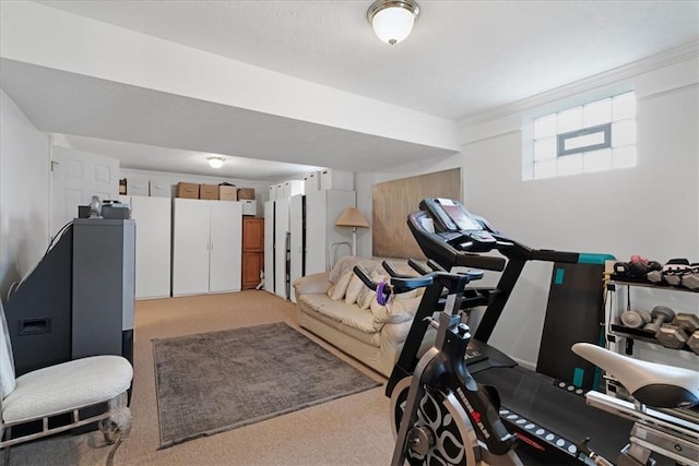 workout area featuring carpet flooring