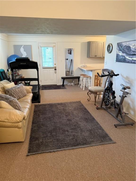 view of carpeted living area