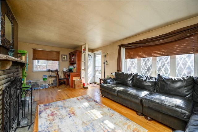 living room featuring a stone fireplace and wood finished floors