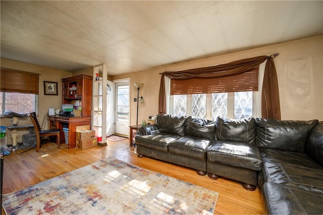 living room with wood finished floors