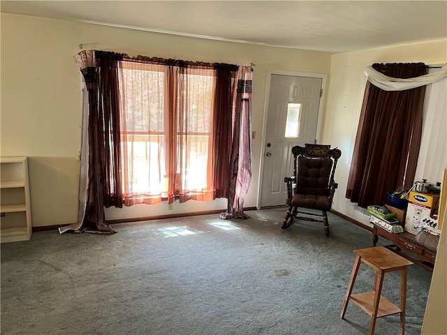 living area featuring baseboards, carpet, and a healthy amount of sunlight