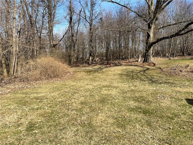 view of yard with a wooded view