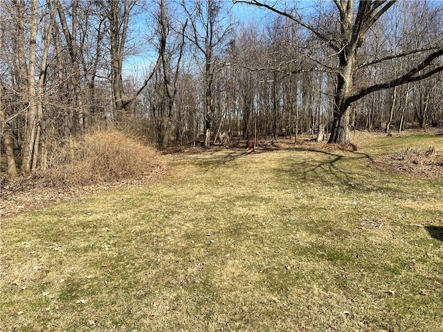4 Woodbine Dr, Hempfield Twp Mer, PA 16125 - view of yard