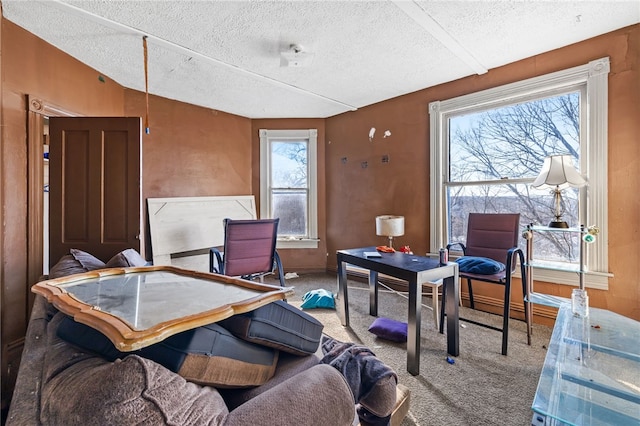 office area with lofted ceiling, baseboards, carpet floors, and a textured ceiling