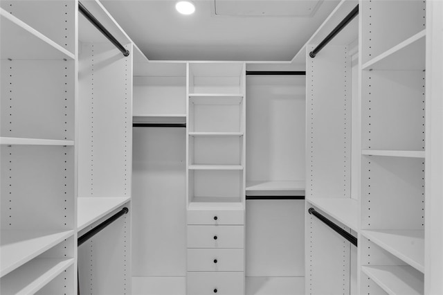 view of spacious closet