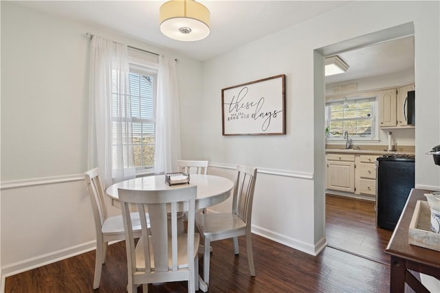 dining area with plenty of natural light, baseboards, and dark wood-style flooring