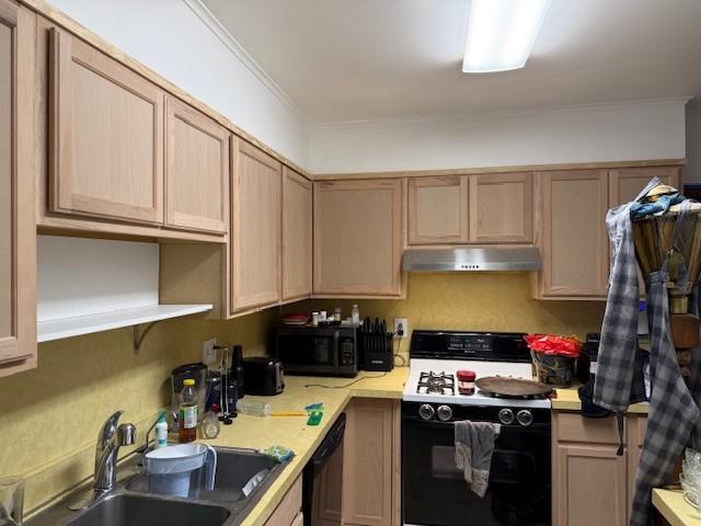 kitchen featuring black appliances, under cabinet range hood, open shelves, a sink, and light countertops