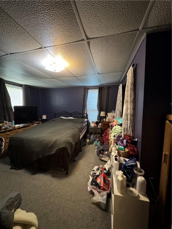 bedroom featuring multiple windows, a paneled ceiling, and carpet floors