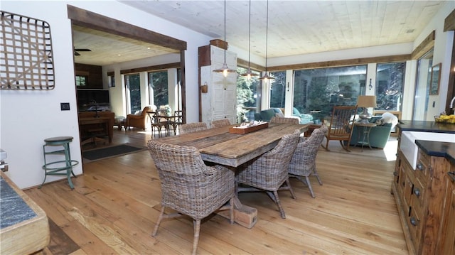 dining room featuring light wood finished floors and plenty of natural light