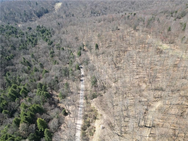 aerial view featuring a forest view