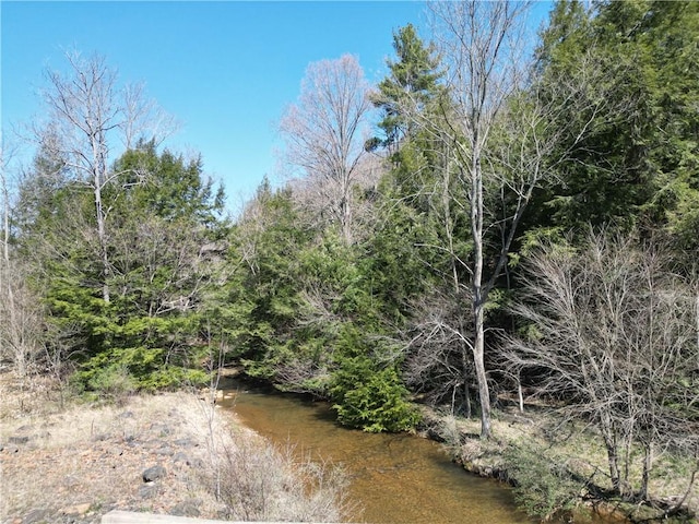 view of nature with a wooded view