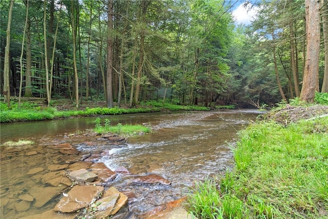 000 Wonder Ln, Punxsutawney Area School District, PA 15767 - water view with a heavily wooded area