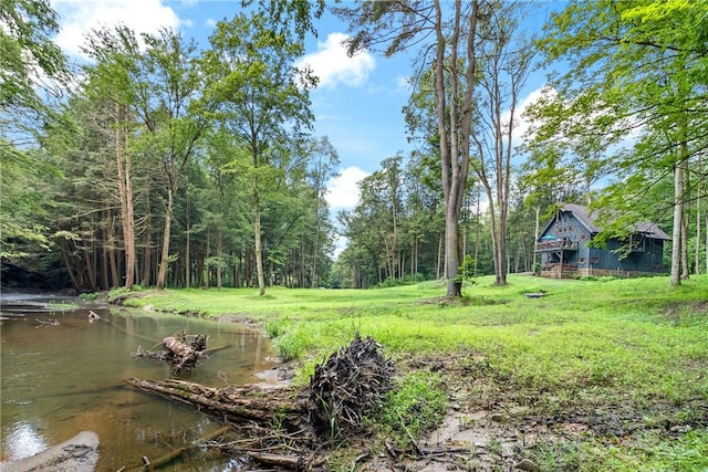 000 Wonder Ln, Punxsutawney Area School District, PA 15767 - view of yard with a forest view