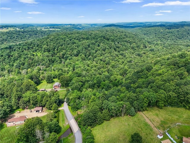 000 Wonder Ln, Punxsutawney Area School District, PA 15767 - drone / aerial view of a forest