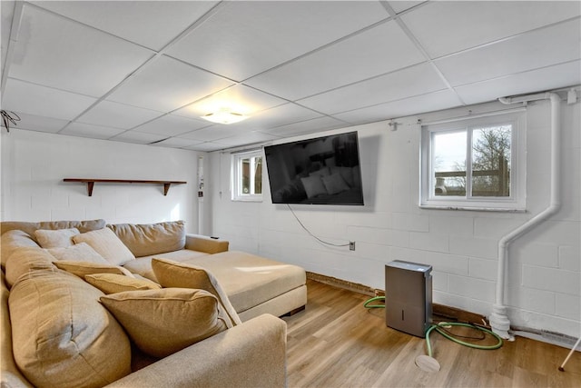 living area featuring concrete block wall, wood finished floors, and a paneled ceiling