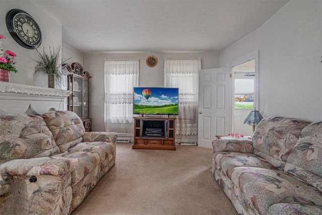 living room featuring carpet flooring