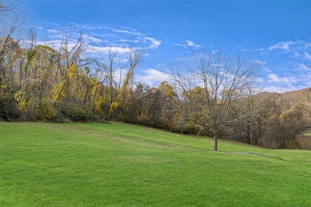 view of yard featuring a view of trees