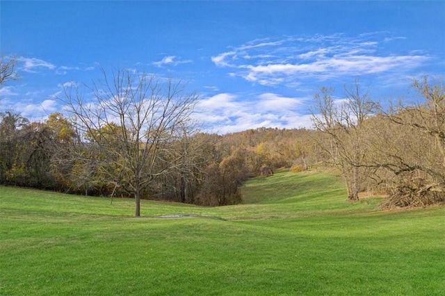 exterior space with a lawn and a view of trees