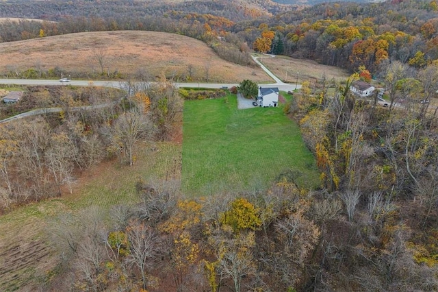 bird's eye view featuring a rural view and a forest view