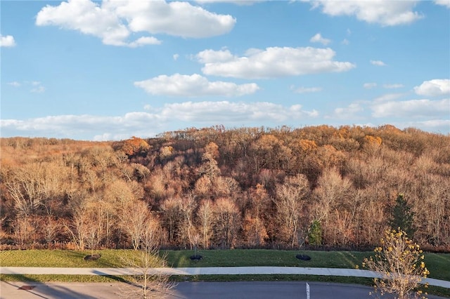 property view of mountains featuring a view of trees