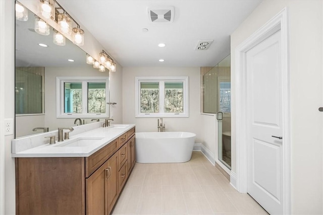 bathroom featuring double vanity, a soaking tub, a stall shower, and a sink