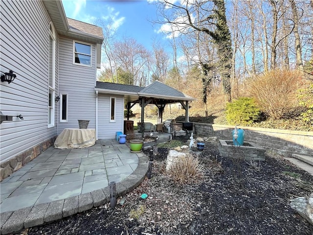 view of yard with a patio