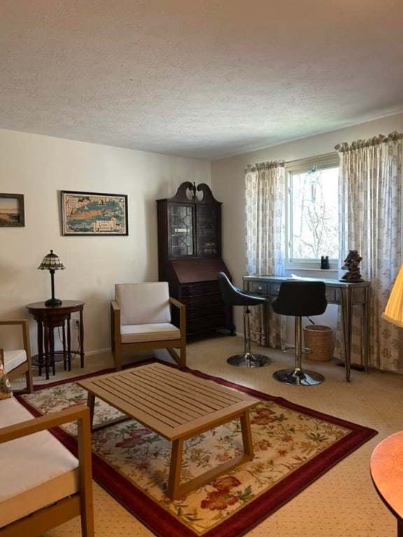 living room featuring a textured ceiling