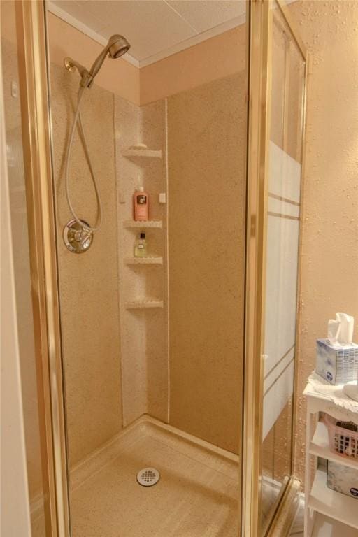 full bathroom featuring ornamental molding and a shower stall