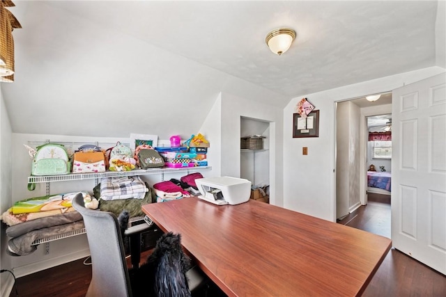 interior space featuring wood finished floors and vaulted ceiling