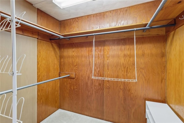 spacious closet with elevator