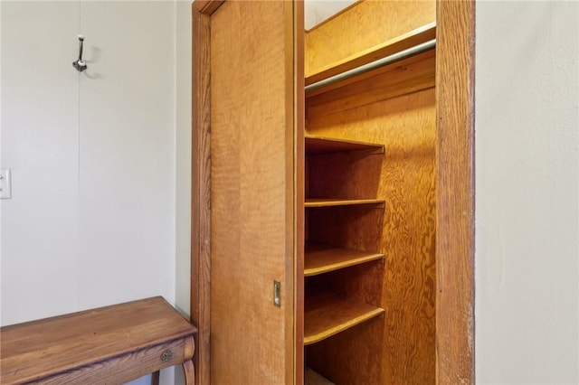 view of closet