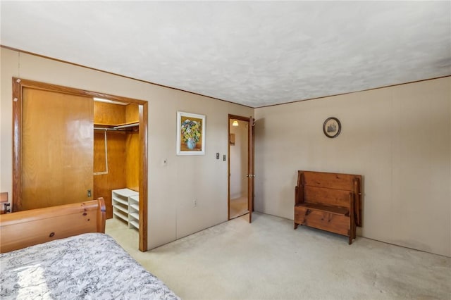 carpeted bedroom featuring a closet and a spacious closet