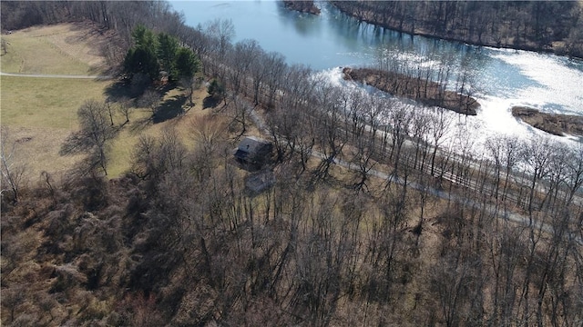 birds eye view of property featuring a view of trees and a water view