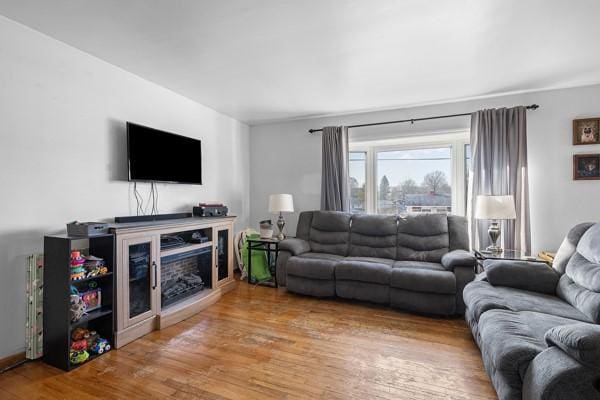 living area with wood finished floors