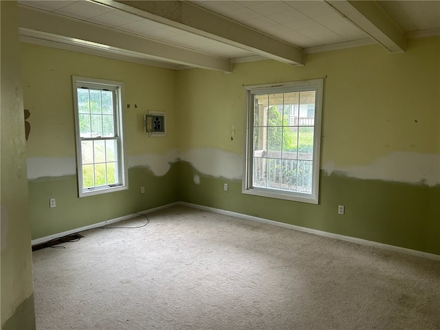 1086 Fredonia Rd, Perry Twp, PA 16130 - photo 9