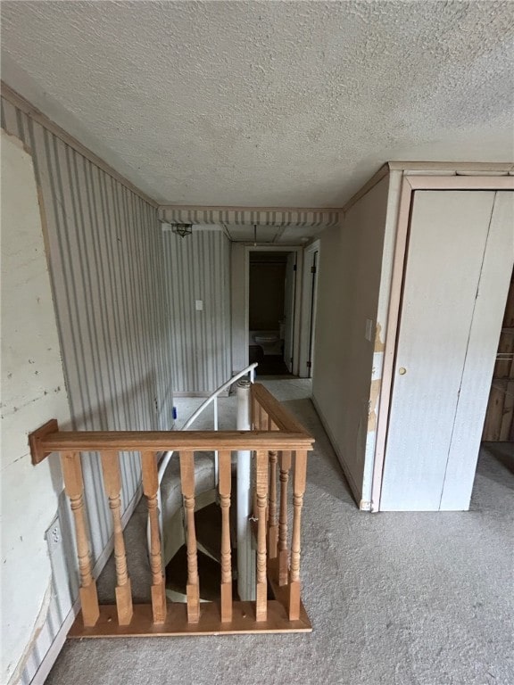 1086 Fredonia Rd, Perry Twp, PA 16130 - photo 13