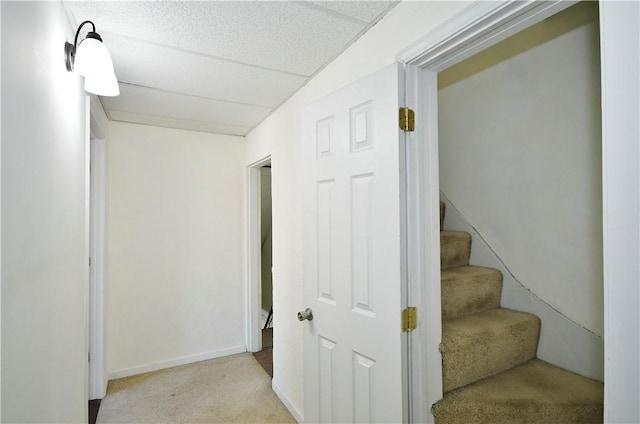 stairs with a drop ceiling, baseboards, and carpet