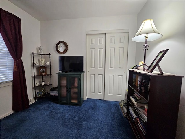 sitting room with dark colored carpet