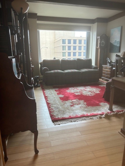 living room featuring plenty of natural light and wood finished floors