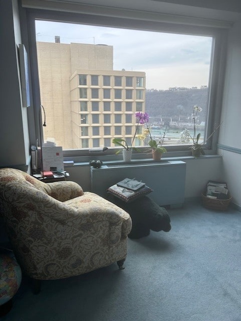 sitting room featuring carpet flooring