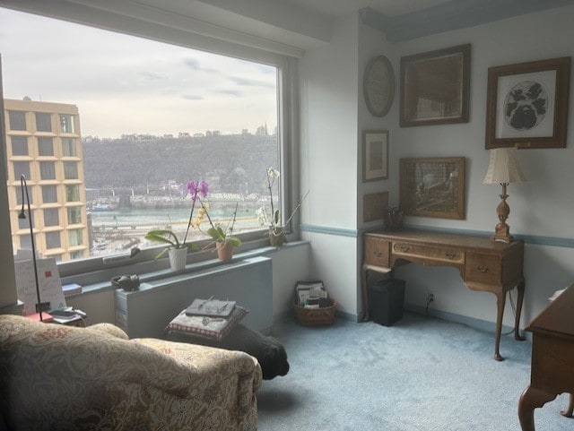 sitting room with baseboards and carpet flooring