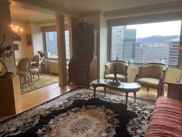 living area featuring wood finished floors, ornamental molding, and a view of city