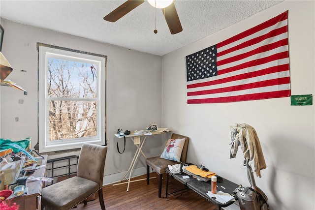 office area featuring a healthy amount of sunlight, a textured ceiling, ceiling fan, and wood-type flooring