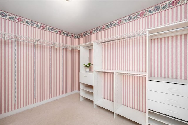 spacious closet with carpet floors